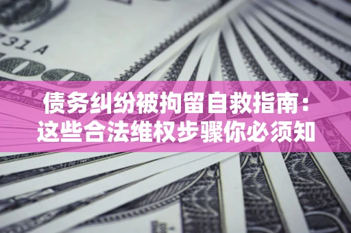 武汉债务纠纷被拘留自救指南：这些合法维权步骤你必须知道！