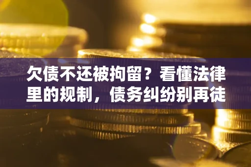 武汉欠债不还被拘留？看懂法律里的规制，债务纠纷别再徒劳奔波