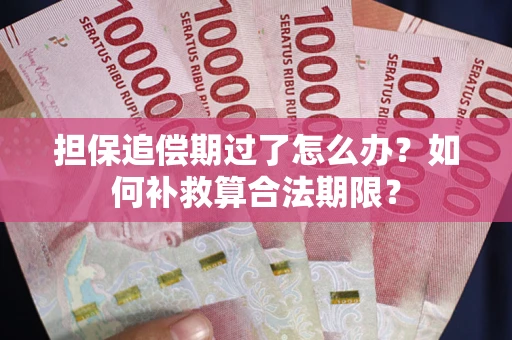 武汉担保追偿期过了怎么办？如何补救算合法期限？