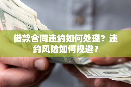 武汉借款合同违约如何处理？违约风险如何规避？