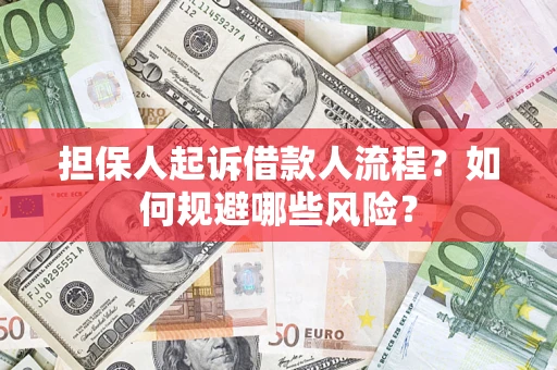 武汉担保人起诉借款人流程？如何规避哪些风险？