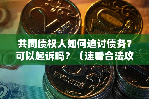 武汉共同债权人如何追讨债务？可以起诉吗？（速看合法攻略）