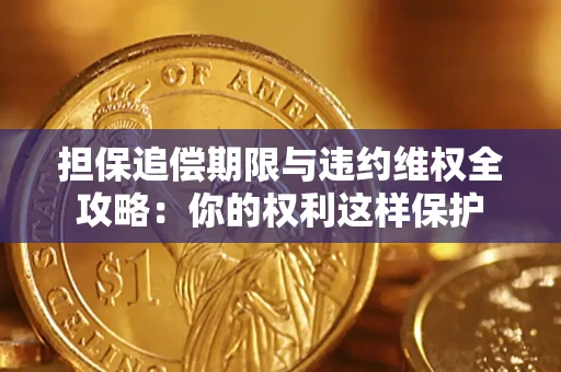武汉担保追偿期限与违约维权全攻略：你的权利这样保护