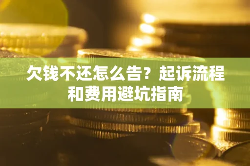 武汉欠钱不还怎么告？起诉流程和费用避坑指南