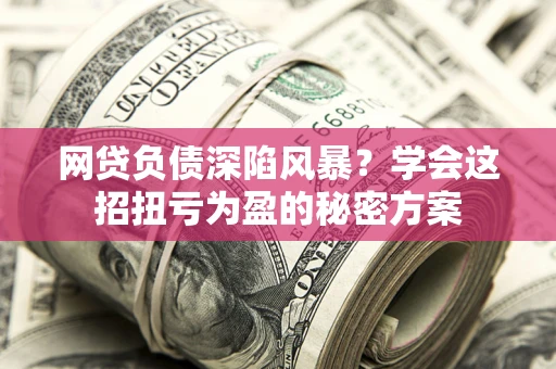 武汉网贷负债深陷风暴？学会这招扭亏为盈的秘密方案